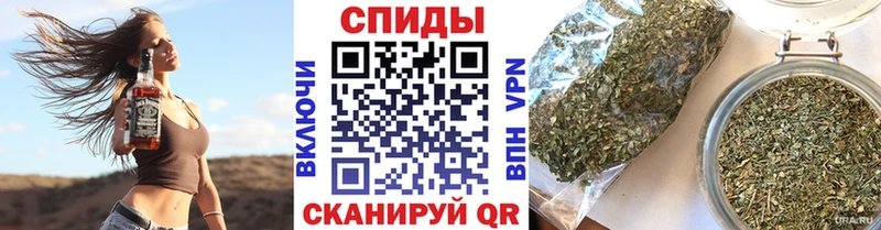 БУТИРАТ оксана Цоци-Юрт