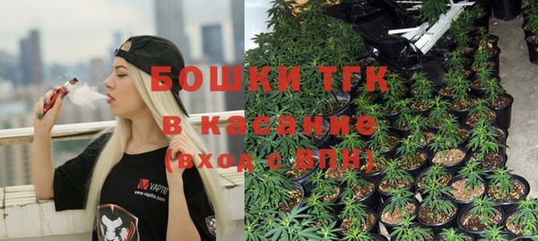 дмт Абаза